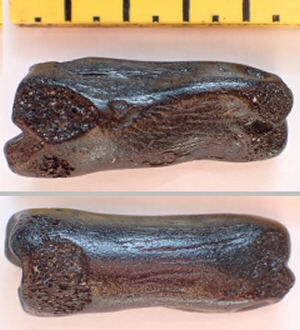 &copy;  Thijs de Boer